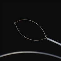 Prong-type bûtenlânske lichem twang